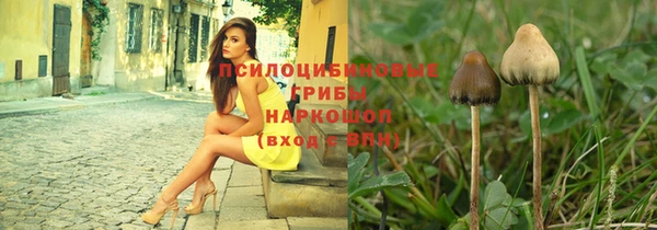 экстази Алексин